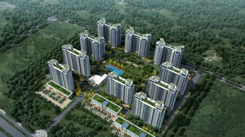 timg(116382056).jpg